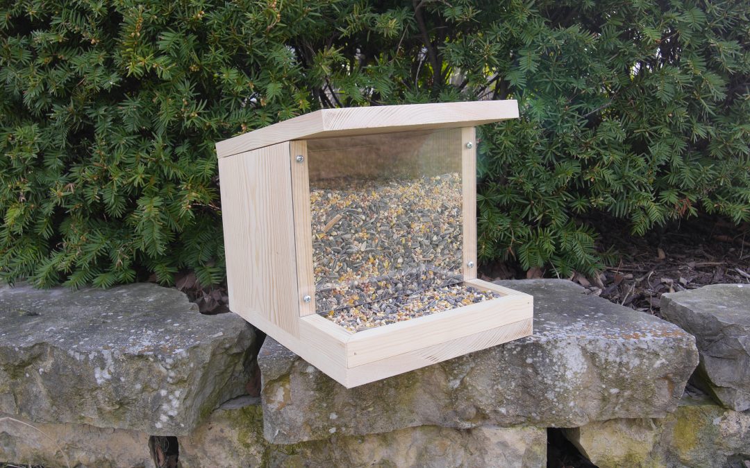 How to Make a Bird Feeder